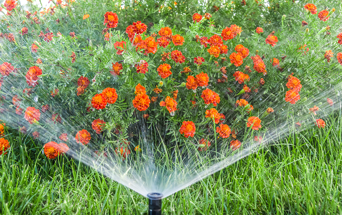 Theme Park Irrigation System in Shanghai, China